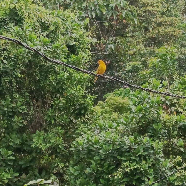 Beautiful country house - Casa con 1 dormitorio - 2