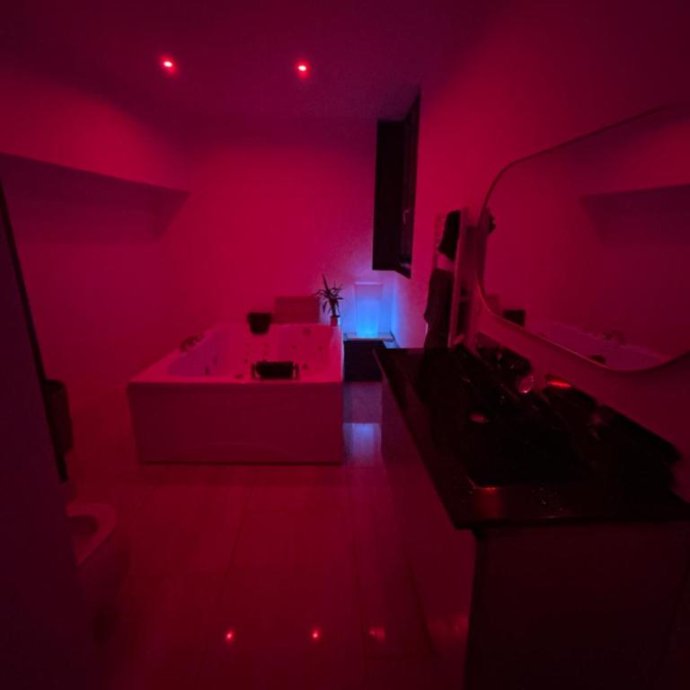 Appartement 4 pers - Jacuzzi & Mini-Bar - Dijon centre ville - Apartment mit 1 Schlafzimmer - 7