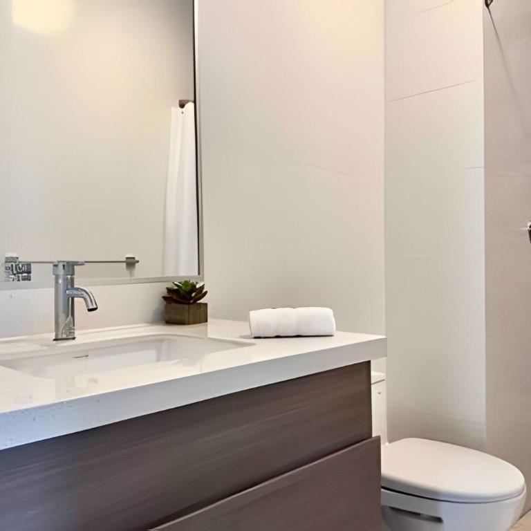 Torre Black - One-Bedroom Superior Apartment - 18