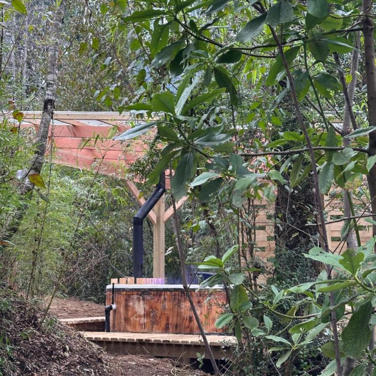 Oasis Tiny House & Tinaja - One-Bedroom House - 7