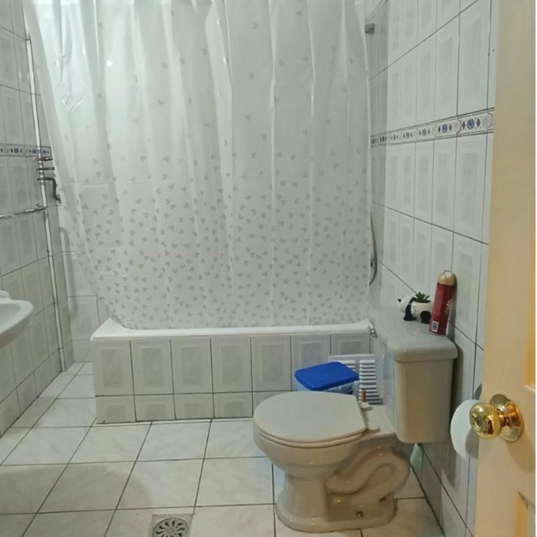 Hostel Rogiel - Recojo desde el Aeropuerto incluído - Habitación Doble con baño compartido - 8