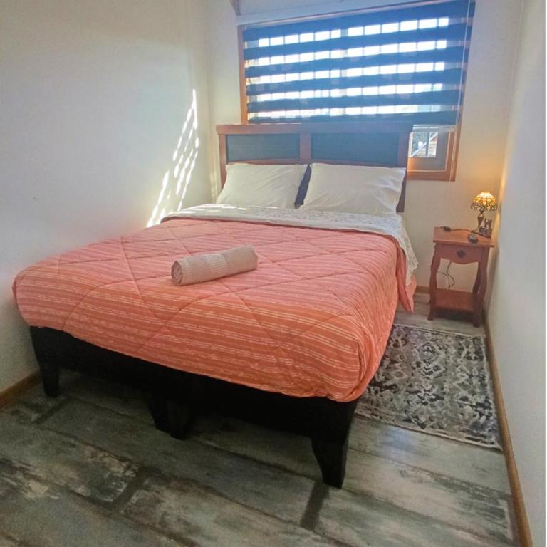 Hostel Rogiel - Recojo desde el Aeropuerto incluído - Habitación Doble con baño compartido - 1