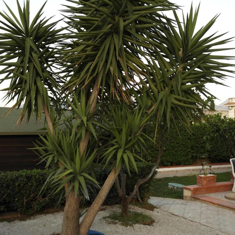 Villa Matilde - Casa con 4 camere da letto - 81