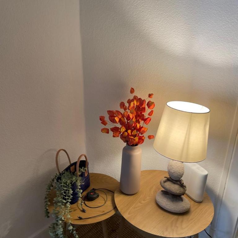 Beauty Coin Exotic au centre Mountreux - Apartment mit 2 Schlafzimmern - 15