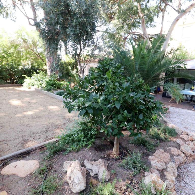 Cannes, Côte d'Azur - Maison de jardin au calme, proche de la Croisette - Maison 1 Chambre - 10