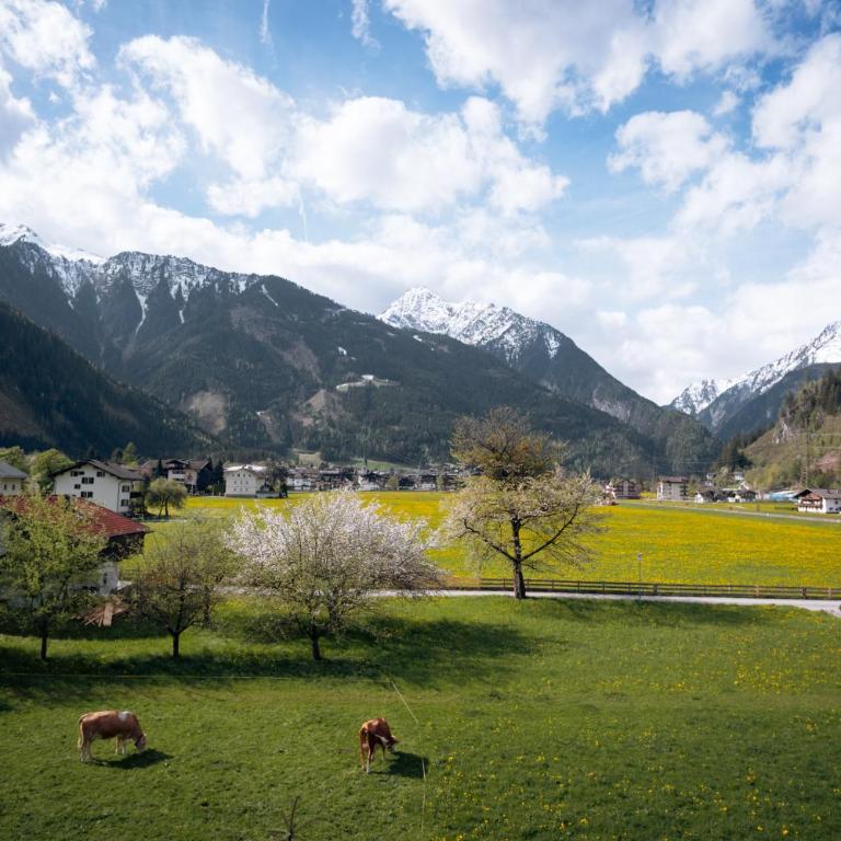 Apart-Garni Alpevita - Doppelzimmer mit Bergblick - 3