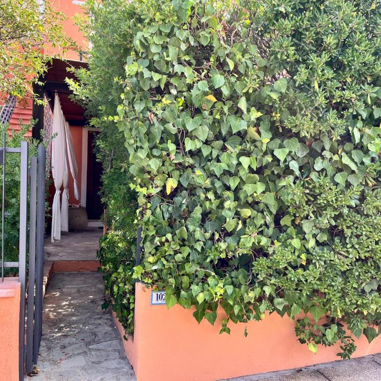 App Emily By La Via Del Mare Viaggi e Vacanze Villasimius - Two-Bedroom Apartment - 24