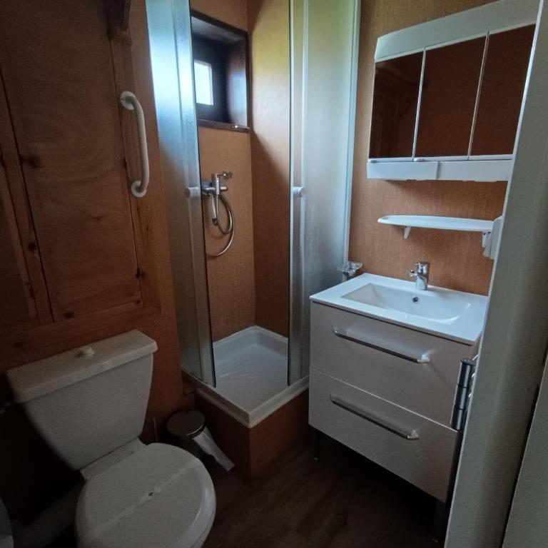 Studio économique 4 pers, animaux admis (1 max) - FR-1-445-75 - Studio - 14