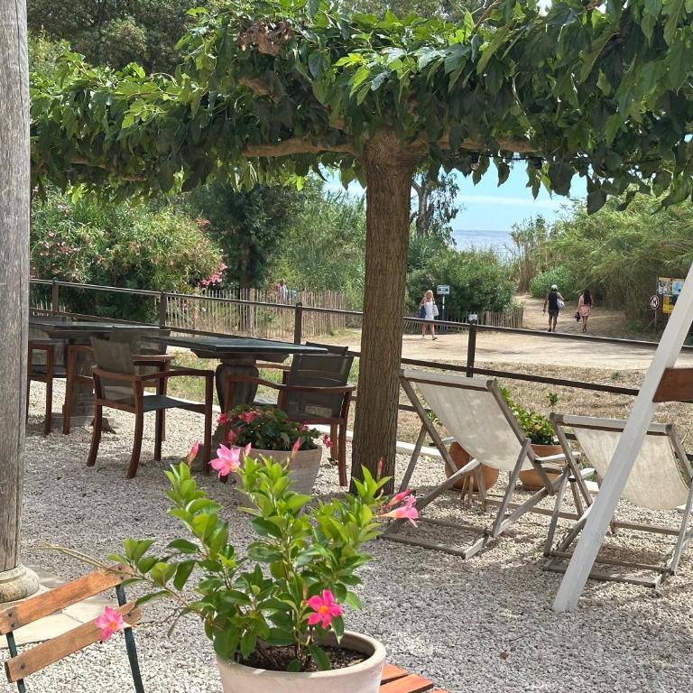 Le Clos des Sept Palmiers - Chambre double supérieure au rez-de-chaussée - 1