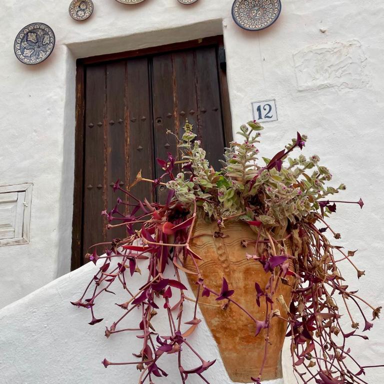 Cosy Andalusian Home with Roof Terrace in Town Centre - Casa de 2 dormitorios - 49