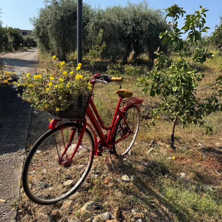 Le Casette di Campagna - Villa con 2 Camere da Letto - 5
