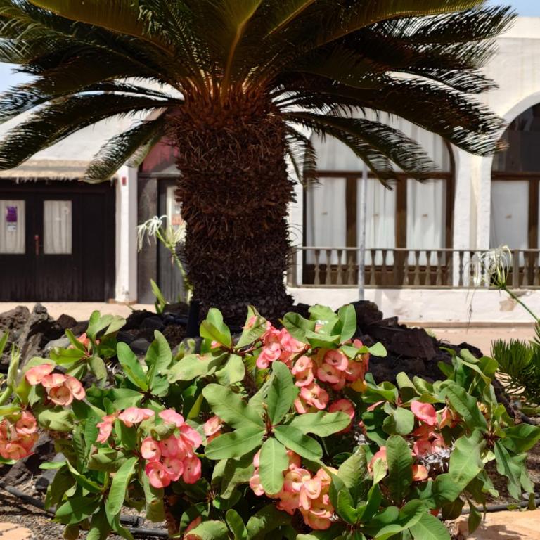 Corralejo Oasis Duna Casa 3P is Premium Adults-Only Apartment with Panoramic Pool View - Apartamento de 1 dormitorio - 39