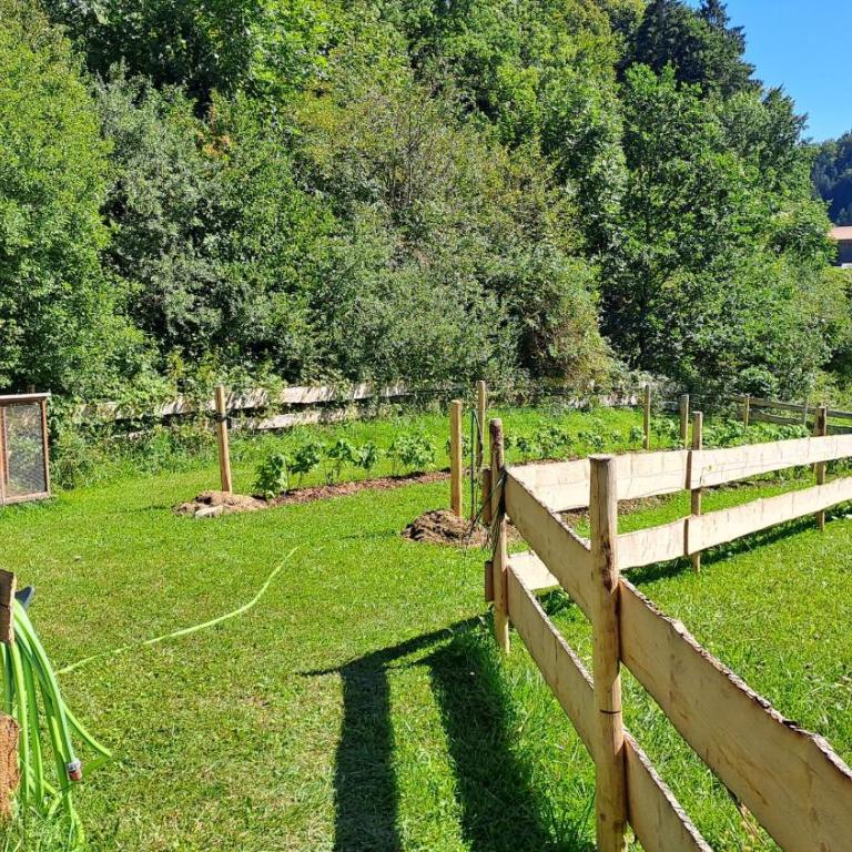 Landhaus Brockhaus - Appartamento con 2 Camere da Letto - 58