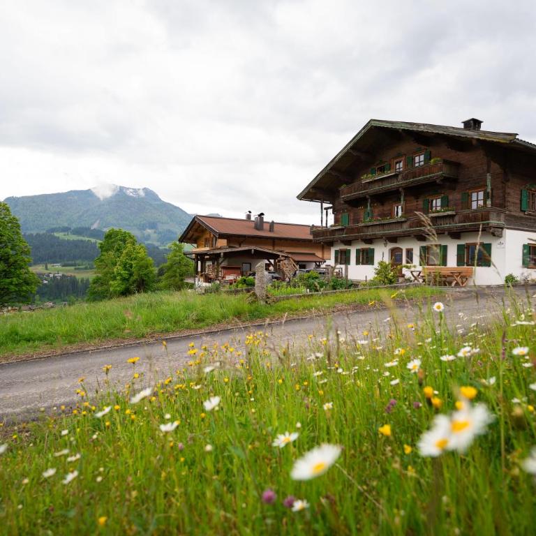 Ferienwohnungen Hausbacher-Bichlhof - Apartment mit 1 Schlafzimmer und Dusche - 1