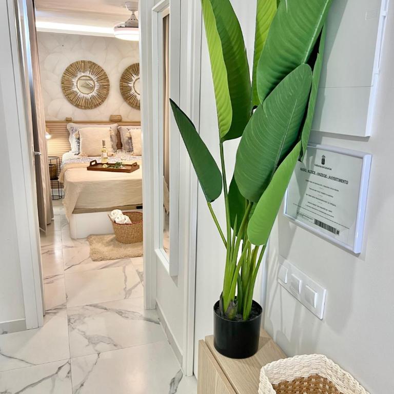 Apartment Dulce Sol - Apartamento de 1 dormitorio - 25