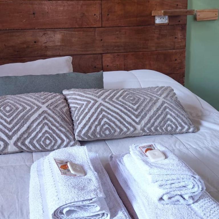 Paso Puyehue - Habitación Cuádruple con baño privado - 9