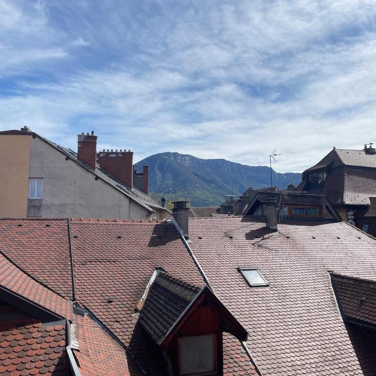 Appartement plein de charme - Cœur vieille ville - Apartment - 21