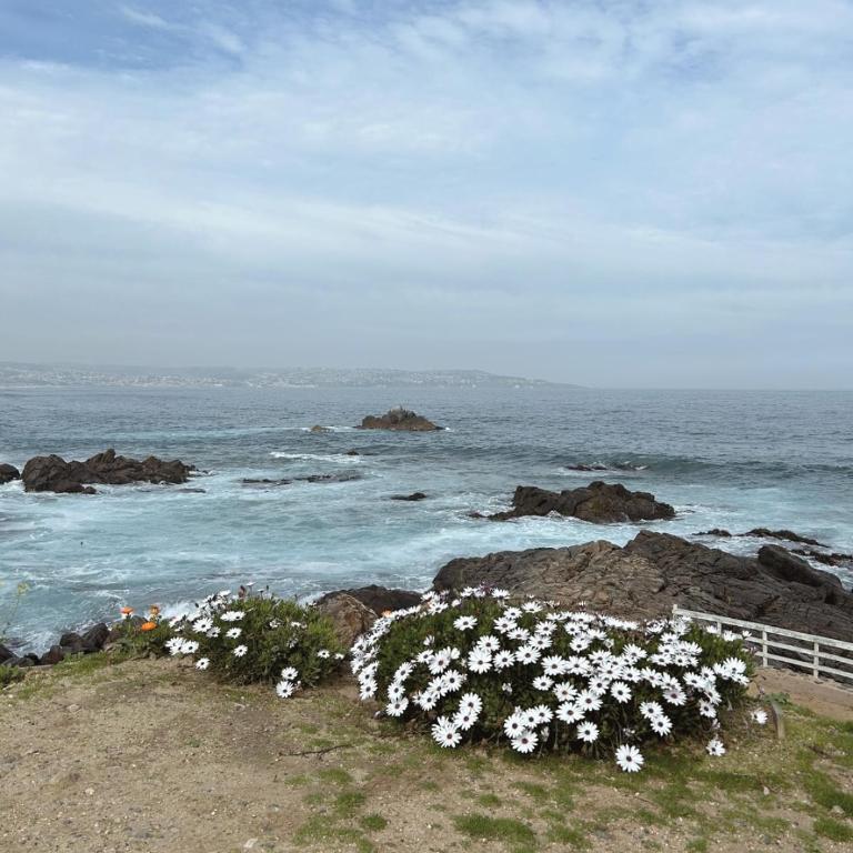 Depto Frente a Laguna y Patio Privado - Two-Bedroom Apartment - 20