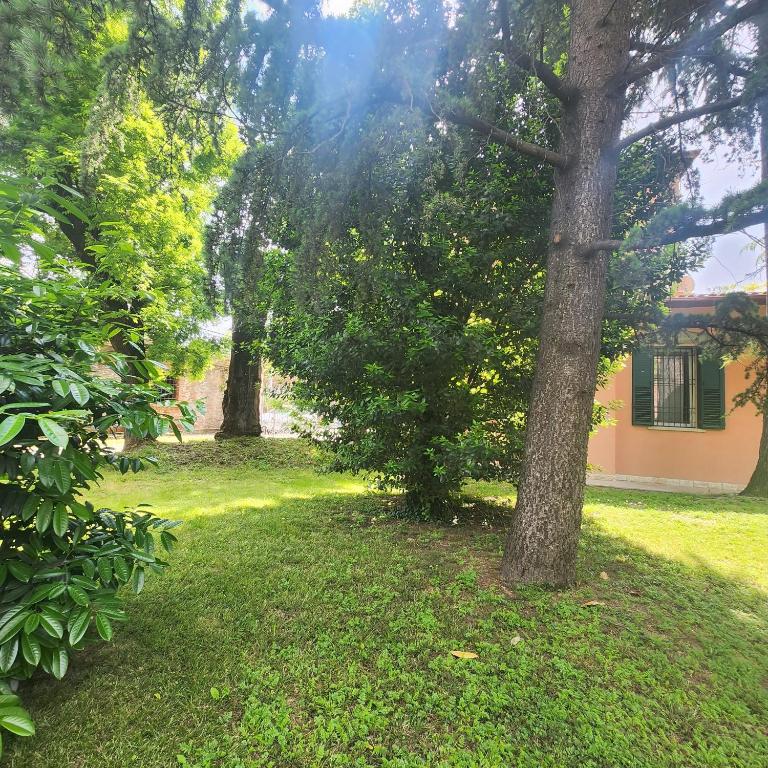 Esperienza d'altri tempi, Bologna - Appartamento con 2 Camere da Letto - 6
