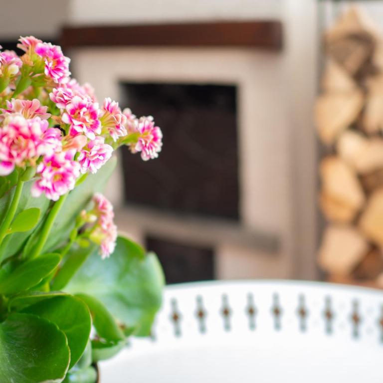 Lovely Flat in Morgex - Apartamento de 2 dormitorios - 7