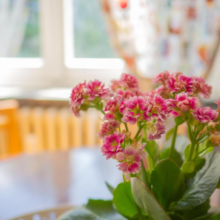 Lovely Flat in Morgex - Apartamento de 2 dormitorios - 6