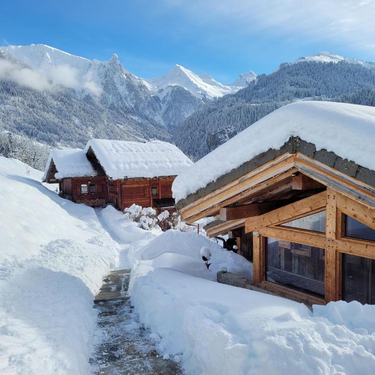 Chalet les Brevins - Chalet Supérieur - 59