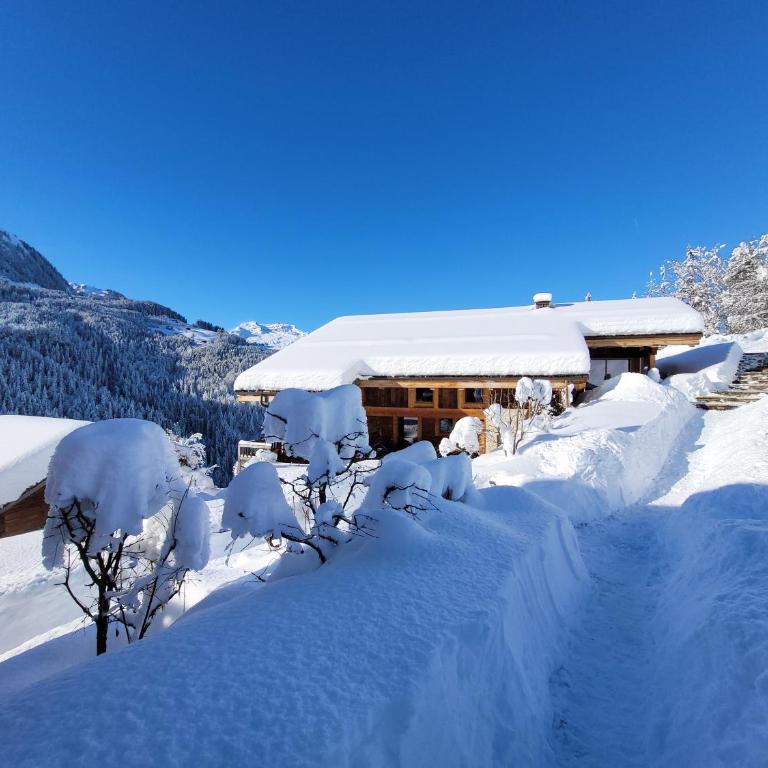 Chalet les Brevins - Chalet Supérieur - 60