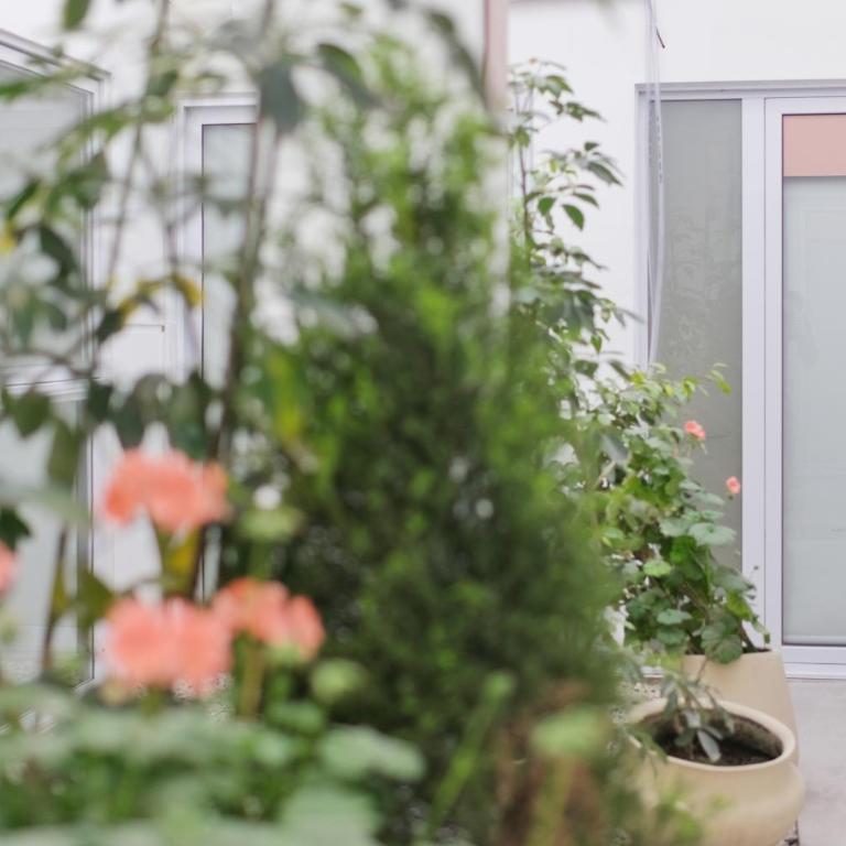Augusta Petit - Apartamento de 1 dormitorio - 25
