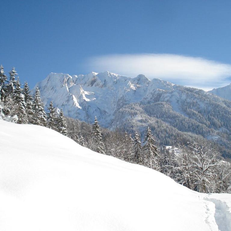 Chalet les Brevins - Chalet Supérieur - 19