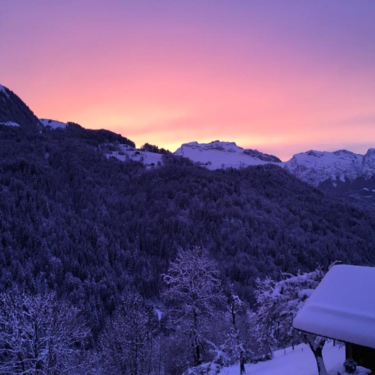 Chalet les Brevins - Chalet Supérieur - 27