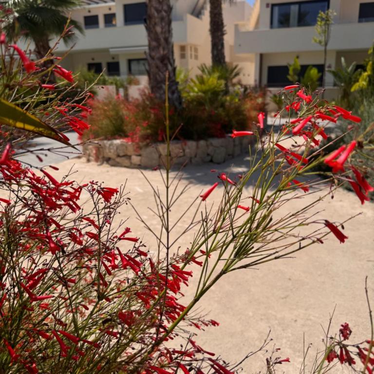 Mediterranean Garden Holidays - Two-Bedroom Apartment - 46