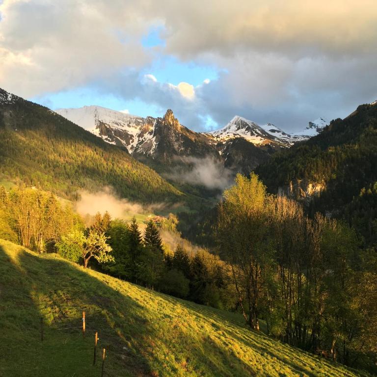 Chalet les Brevins - Chalet Supérieur - 38