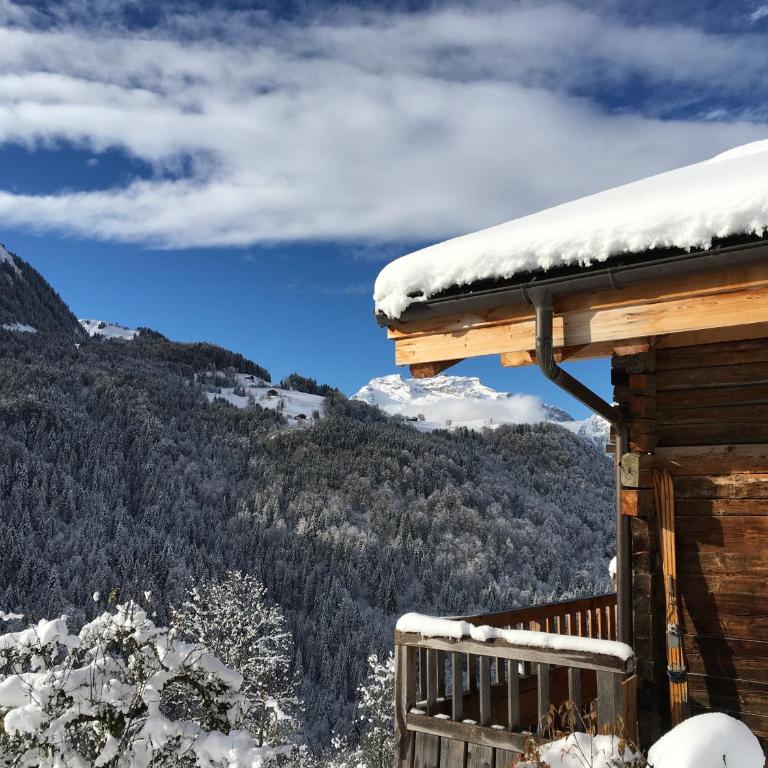 Chalet les Brevins - Chalet Supérieur - 40