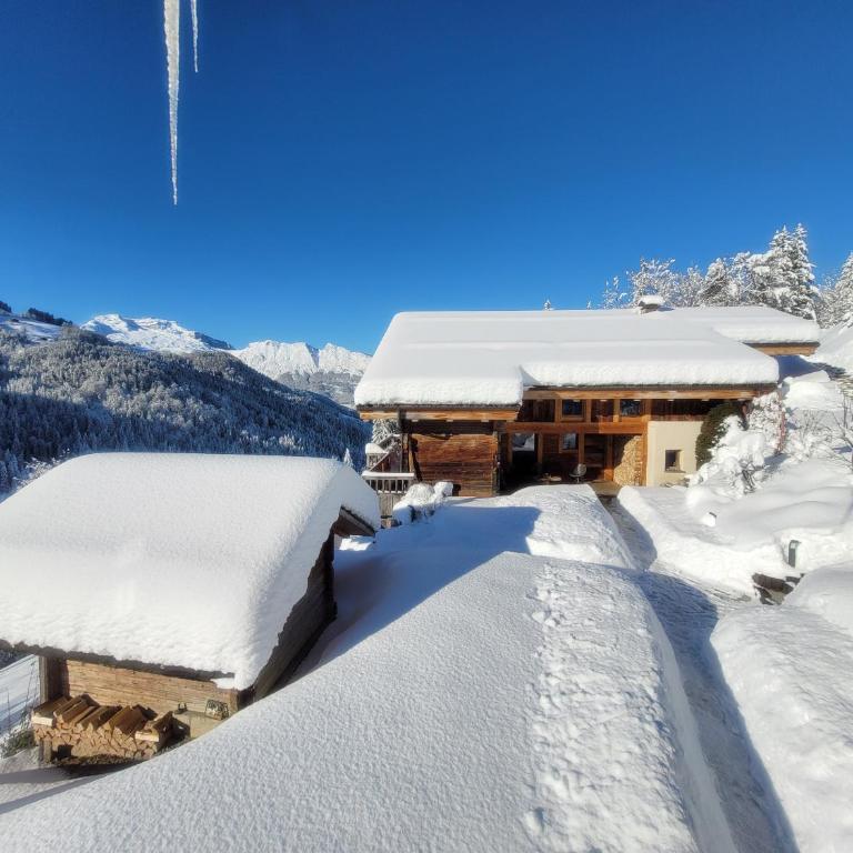 Chalet les Brevins - Chalet Supérieur - 39