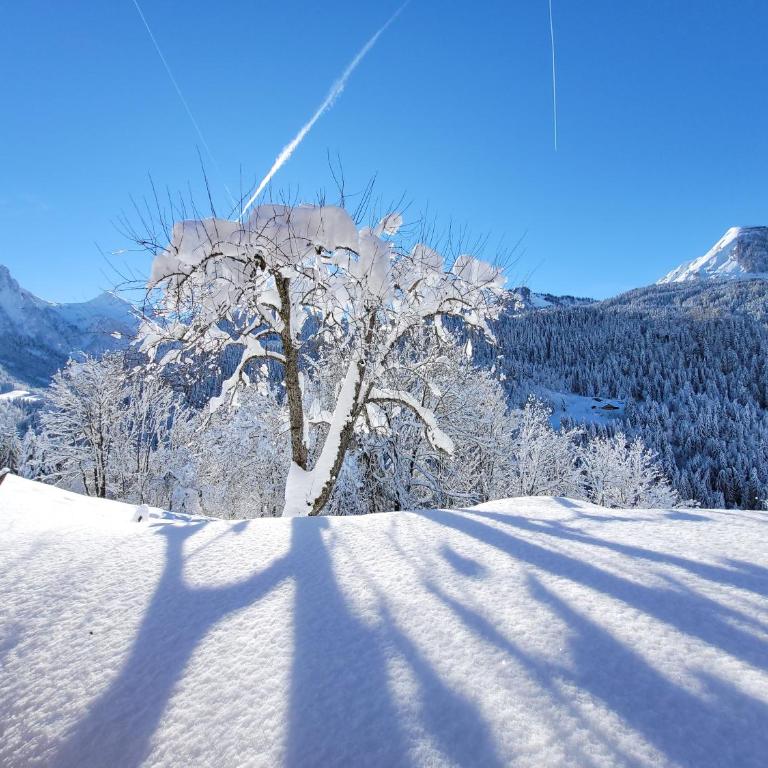 Chalet les Brevins - Chalet Supérieur - 45