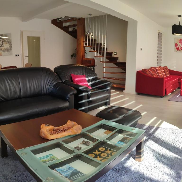 Deluxe Villa Coast River Sarajevo - Kuća s 5 Spavaćih Soba - 49
