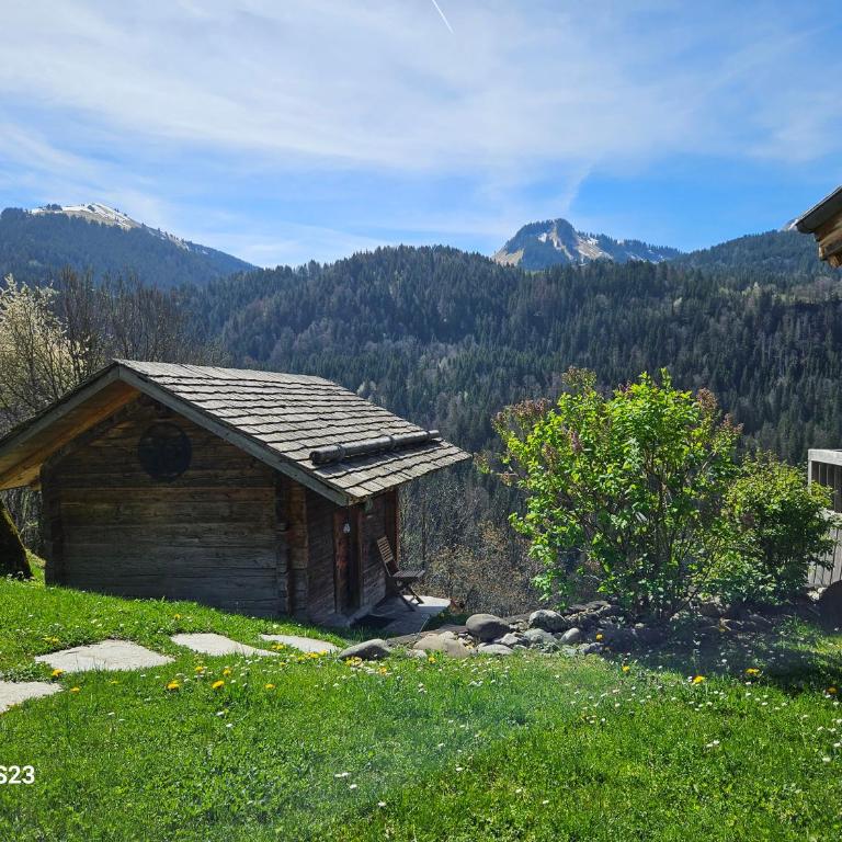 Chalet les Brevins - Chalet Supérieur - 52