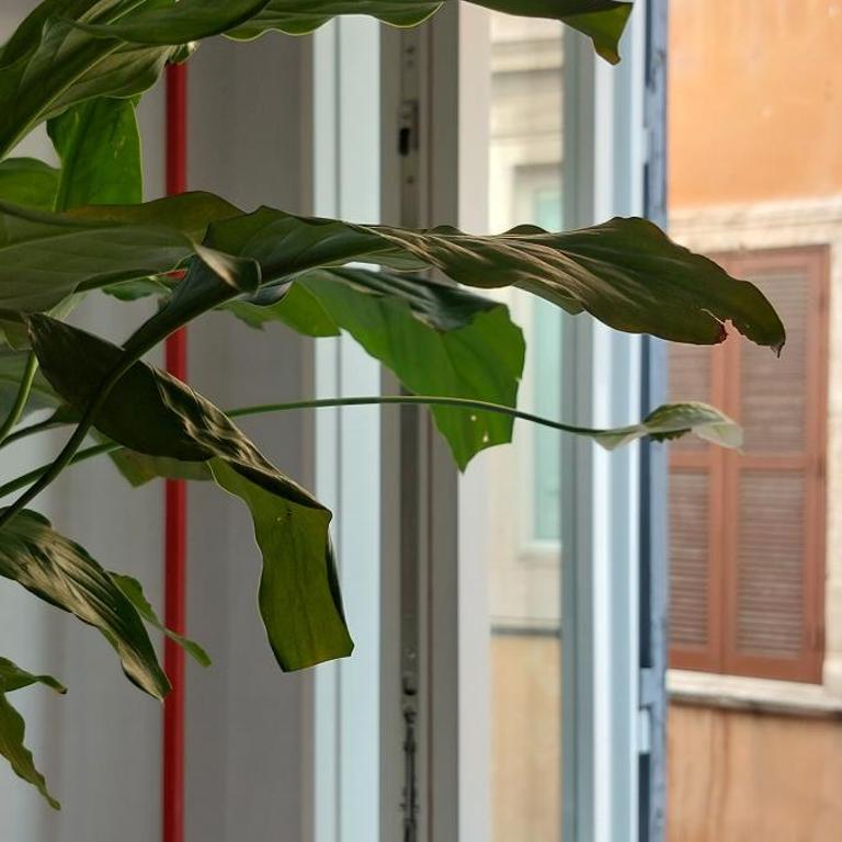 Navona Cozy Apartment - Appartamento con 1 Camera da Letto - 25