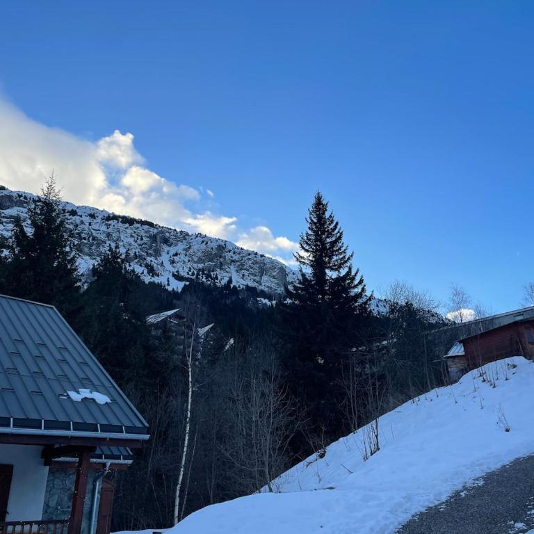 OZ station 3300m studio mountain - Apartment mit 1 Schlafzimmer - 17