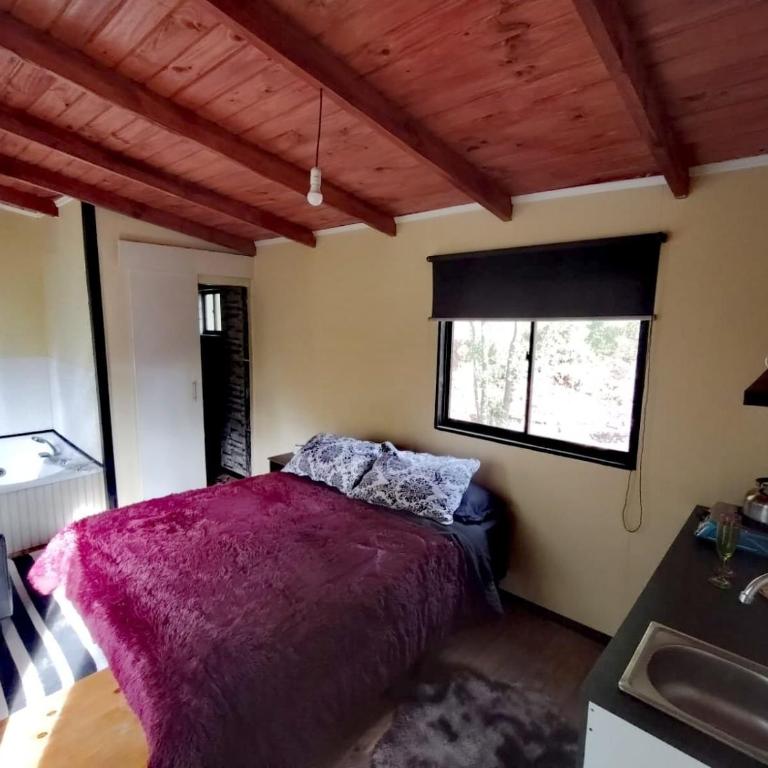 Cabañas Eco Chahuilco - Apartamento de 1 dormitorio - 2