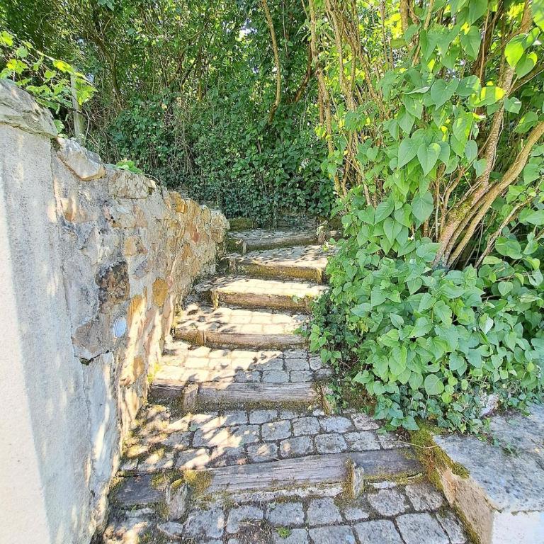 Le chant du troglodyte - Villa 2 Chambres - 33