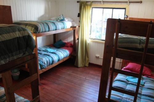 Margouya Puerto Varas - Cama en habitación compartida mixta de 6 camas - 2