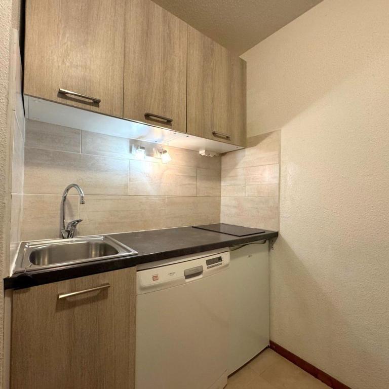 Appartement cosy avec accès aux pistes, animaux admis - FR-1-452-46 - Appartement (4 Adultes) - 11