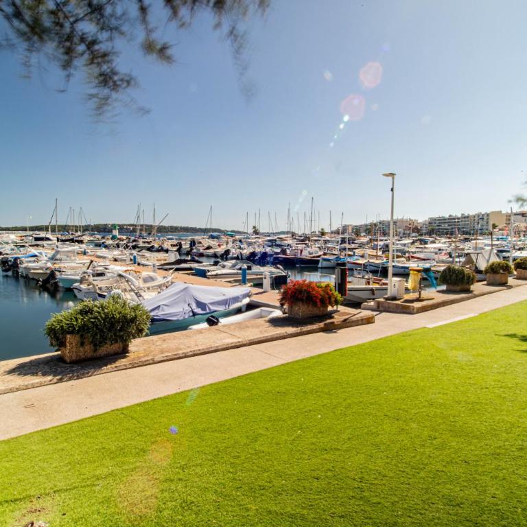 Charmant 2p proche des plages, appartement Céladon - Appartement 1 Chambre - 2