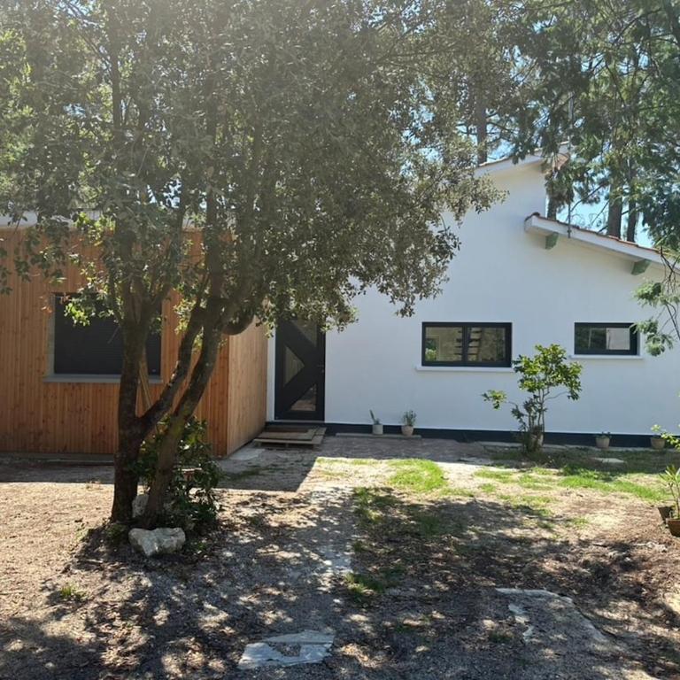Wonderful house on the lake with idyllic lake views - Maison 4 Chambres - 25