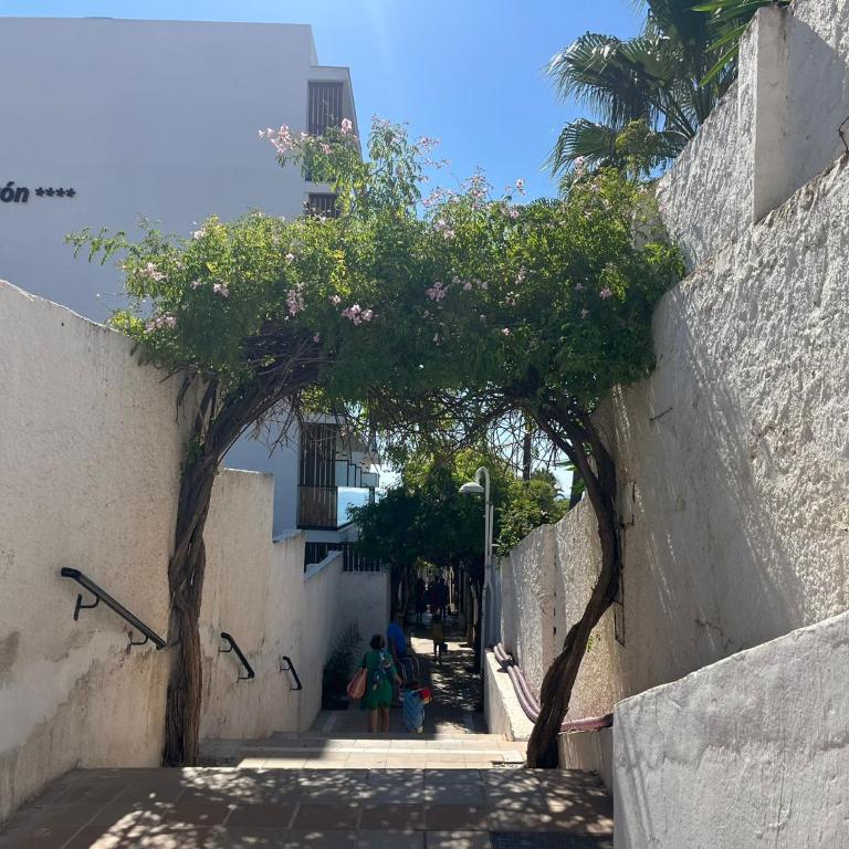 Apartamento MIA - Apartamento de 2 dormitorios - 22