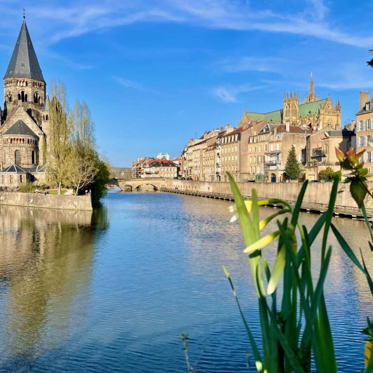 Les Gîtes de l'ile à Metz - Appartamento con 1 Camera da Letto - 1