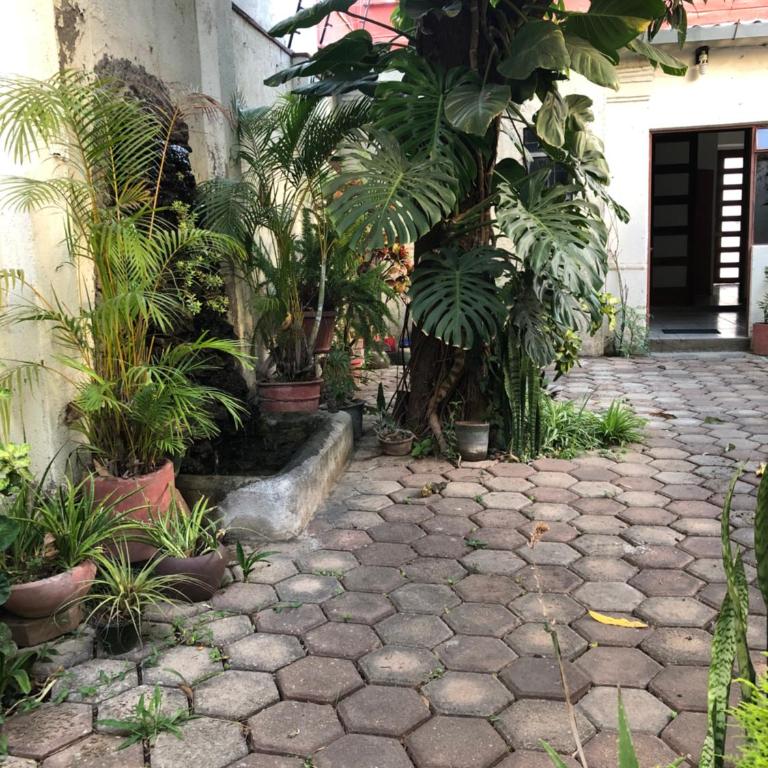 Tita Coco1 - Apartamento de 1 dormitorio - 13