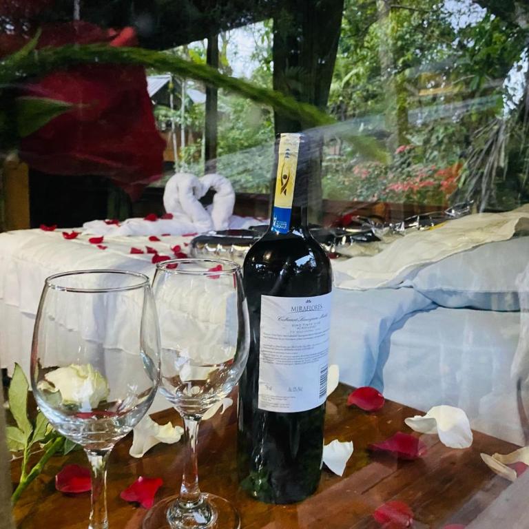 Eden Treehouse - Double Room - 5