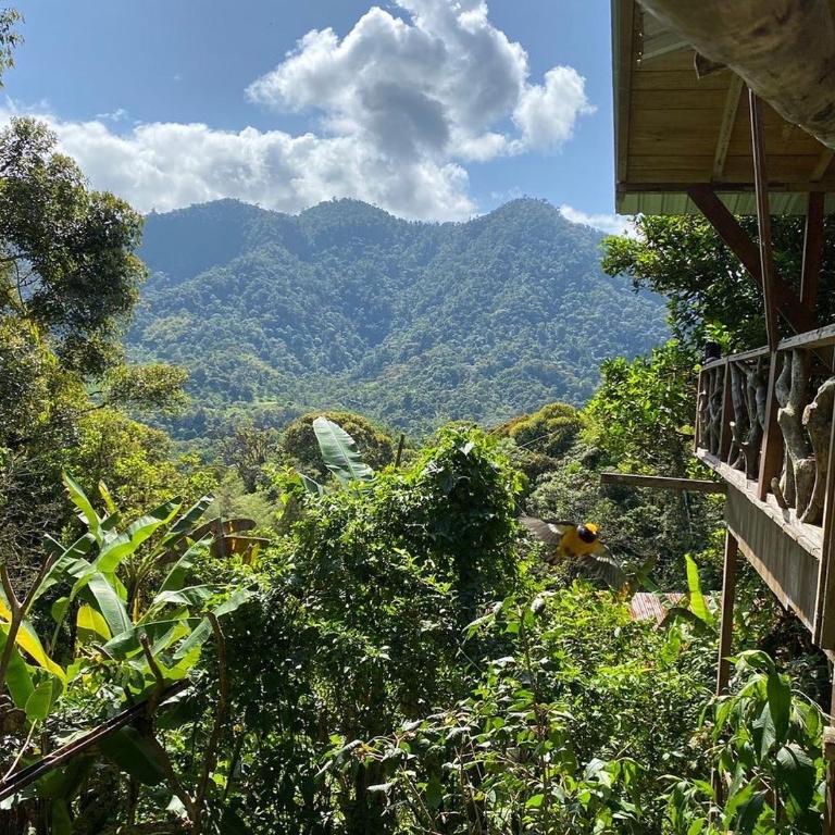 Eden Treehouse - Double Room - 4
